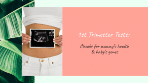 1st trimester test