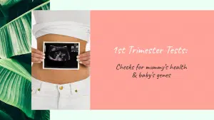 1st trimester test