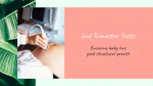 2nd trimester test