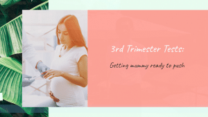 3rd trimester test