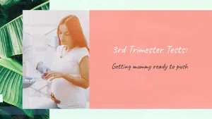 3rd trimester test
