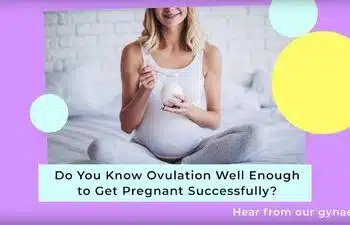 What you need to know about ovulation to get pregnant successfully