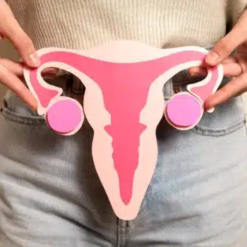 front view woman holding reproductive system