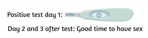 ovulation test kit