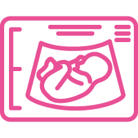 Ultrasound Dating Scan